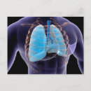 Pesquisar por sistema respiratório cartoes postais Representação humana