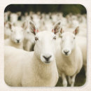 Pesquisar por fazenda porta copos Ovelha