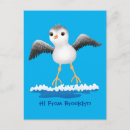 Pesquisar por pássaro marinho cartoes postais Litoral