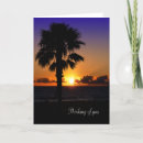 Pesquisar por palm beach cartoes Sunset