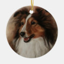 Pesquisar por shetland sheepdog sheltie ornamentos Cão
