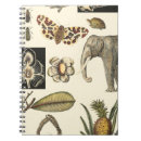 Pesquisar por peixes cadernos de notas Natureza