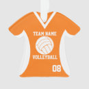Pesquisar por voleibol ornamentos Equipe