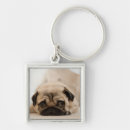Pesquisar por do pug chaveiros Cão