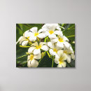 Pesquisar por flores tropicais impressão de canvas Planta