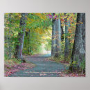 Pesquisar por bosque fotografia Natureza