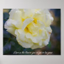 Pesquisar por do rosa amarelo pósteres pôsteres For her