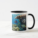 Pesquisar por peixes de mar profundo canecas Mergulho