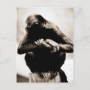 Pesquisar por aranhas cartoes postais Vida selvagem