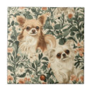 Pesquisar por da chihuahua azulejos For her