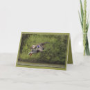 Pesquisar por jovens cartoes Foto