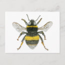 Pesquisar por bumble bee cartoes postais Inseto