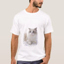 Pesquisar por gato ragdoll roupas Felino