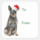 Pesquisar por gado adesivos Cão