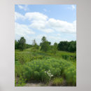 Pesquisar por wildflowers pôsteres Folhas