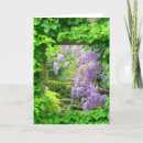 Pesquisar por muro cartoes Natureza