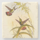 Pesquisar por hummingbird porta copos Pássaro