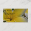 Pesquisar por flores havaianas cartao de visita Plumeria