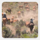 Pesquisar por gado adesivos Ocidental