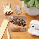 Pesquisar por descendente chaveiros Aterrissagem