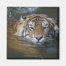 Pesquisar por partes do corpo imas Natureza