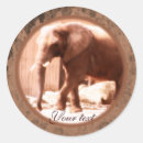 Pesquisar por elephant adesivos Animais