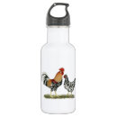 Pesquisar por galinhas garrafa agua Galo