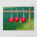 Pesquisar por vermelho de cereja cartoes postais Fruta