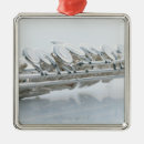 Pesquisar por decoração da flauta ornamentos Instrumento musical