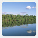 Pesquisar por reflexo adesivos Floresta