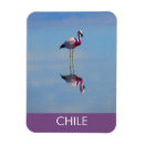 Pesquisar por atacama imas Deserto do atacama