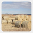 Pesquisar por feno do feno adesivos Agricultura