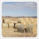 Pesquisar por feno do feno adesivos País