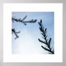 Pesquisar por alcance fotografia Natureza