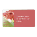 Pesquisar por margarida etiquetas Rosa