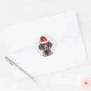 Pesquisar por short adesivos Natal