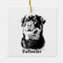 Pesquisar por rottweiler ornamentos Feriado
