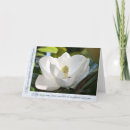 Pesquisar por magnífico cartoes Escritura