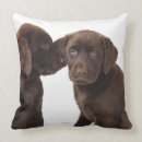 Pesquisar por cachorro labrador almofadas Animal