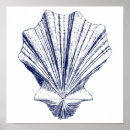 Pesquisar por scallop pôsteres Costa