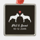 Pesquisar por terrier ornamentos Bonito