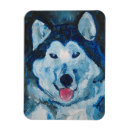 Pesquisar por lobo imas Husky siberiano