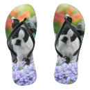 Pesquisar por terrier bebe roupas For her