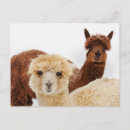 Pesquisar por a américa latina cartoes postais Qualquer pessoa