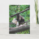 Pesquisar por viúvas cartoes Engraçado