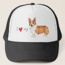 Pesquisar por pembroke bones Corgi de galês