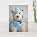 Pesquisar por costumes cartoes Dog