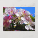 Pesquisar por honey cartoes postais Flores
