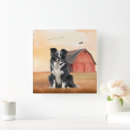 Pesquisar por border collie relogios de parede Cachorro