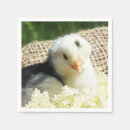 Pesquisar por material do ipad For her
